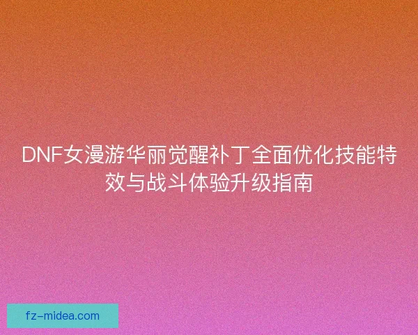 DNF女漫游华丽觉醒补丁全面优化技能特效与战斗体验升级指南